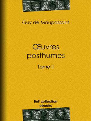 bigCover of the book Oeuvres posthumes by 