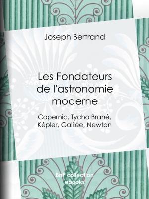Book cover of Les Fondateurs de l'astronomie moderne