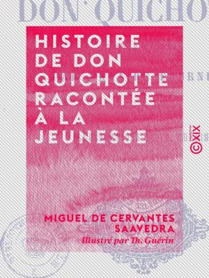 Cover of the book Histoire de Don Quichotte racontée à la jeunesse by Amédée Rolland