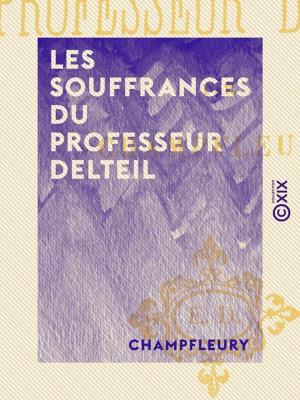 Cover of the book Les Souffrances du professeur Delteil by Émile Vandervelde