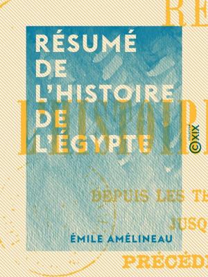 Cover of the book Résumé de l'histoire de l'Égypte by Julie Lavergne