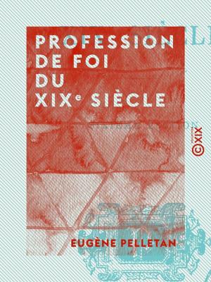 Cover of the book Profession de foi du XIXe siècle by Prosper Mérimée
