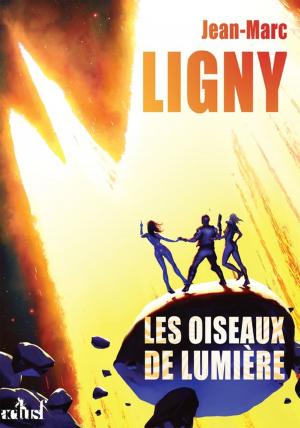 Cover of the book Les Oiseaux de lumière by Karim Berrouka