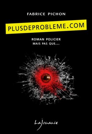 Cover of the book Plusdeprobleme.com by Sandrine Roy
