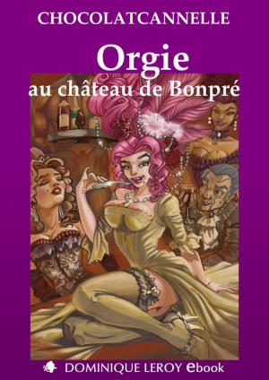 Cover of the book Orgie au château de Bonpré by William Tinchant, Karine Géhin
