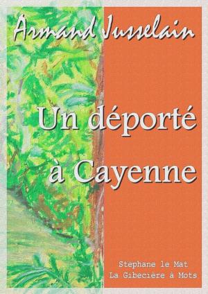 Cover of the book Un déporté à Cayenne by George Sand