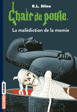 Cover of the book Chair de poule , Tome 01 by Marie-Aude Murail
