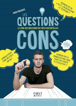 Cover of the book Les Questions Cons by Stéphane ALLIX, Réjane EREAU, Sébastien LILLI, Miriam GABLIER