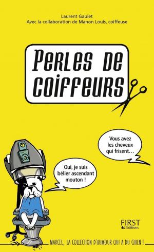Cover of the book Perles de coiffeurs by S. LECLAIR DE MARCO, Jean de BONY