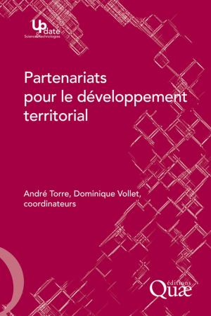 Cover of the book Partenariats pour le developpement territorial by Vincent Albouy