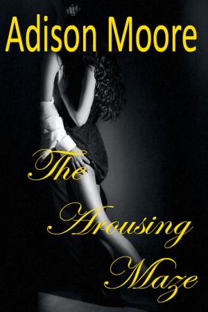 Cover of the book The Arousing Maze by Sandra E Sinclair