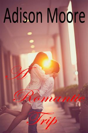 Cover of the book A Romantic Trip by Deborah Coonts, Josie Brown