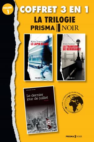 Cover of the book Coffret Prisma Noir 1 : Le lapin blanc, Le dernier jour de juillet , La trahison de Rambrandt by Sally Bitout