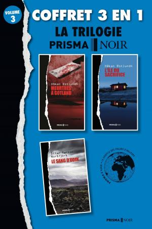 Book cover of Coffret Prisma Noir 3 : Meutres à Gotland, L'île du sacrifice, Le sang d'Oding