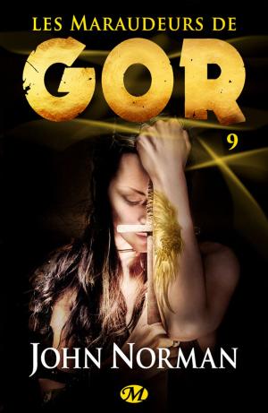 Cover of the book Les Maraudeurs de Gor by PM Pevato