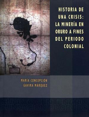 bigCover of the book Historia de una crisis by 