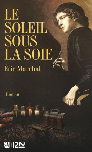 Cover of the book Le soleil sous la soie by Ann GRANGER