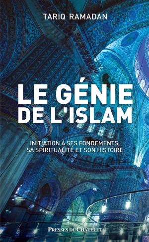Book cover of Le génie de l'islam