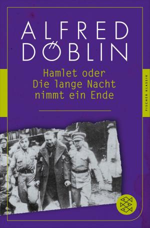 Cover of the book Hamlet oder Die lange Nacht nimmt ein Ende by Eric-Emmanuel Schmitt