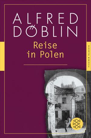 Cover of the book Reise in Polen by Günter de Bruyn