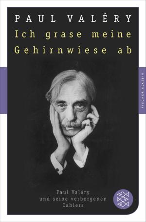 Cover of the book Ich grase meine Gehirnwiese ab by Jessica Lorenne
