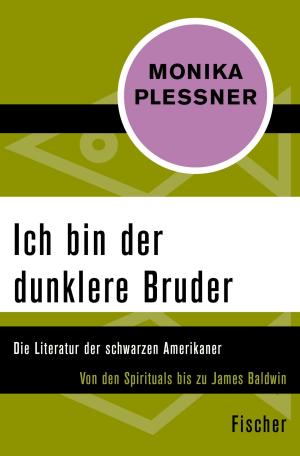 Cover of the book Ich bin der dunklere Bruder by Sander L. Gilman