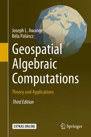 Cover of the book Geospatial Algebraic Computations by Melina V. Vizcaíno-Alemán