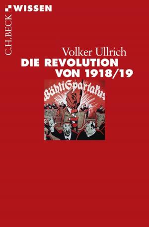 Cover of the book Die Revolution von 1918/19 by Egon Flaig