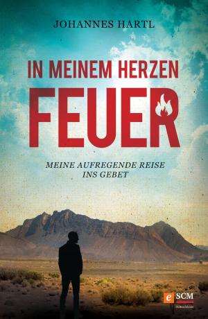 Cover of the book In meinem Herzen Feuer by Thomas Härry