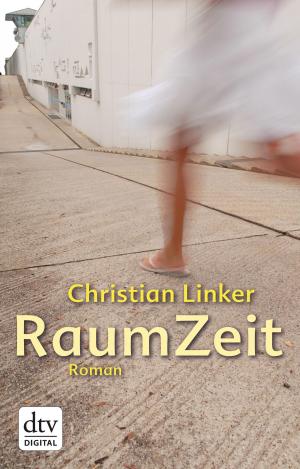 bigCover of the book RaumZeit by 