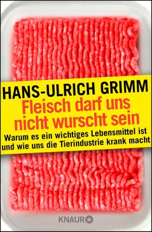 Cover of the book Die Fleischlüge by Simone Buchholz