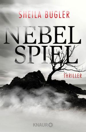 Book cover of Nebelspiel