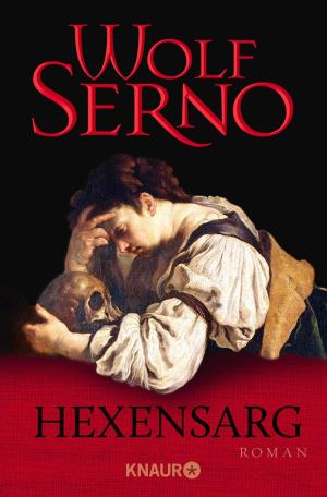 Cover of the book Hexensarg by Wolf Serno