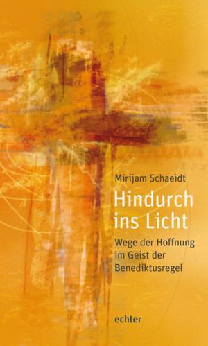 Cover of the book Hindurch ins Licht by Erich Garhammer, Erich Garhammer