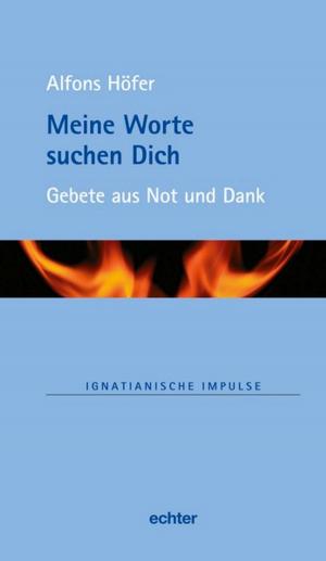 Cover of the book Meine Worte suchen Dich by Matthias Sellmann