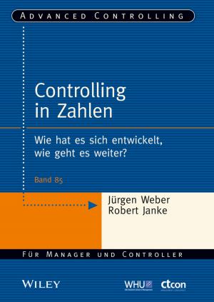 Cover of the book Controlling in Zahlen by Erik Hellman