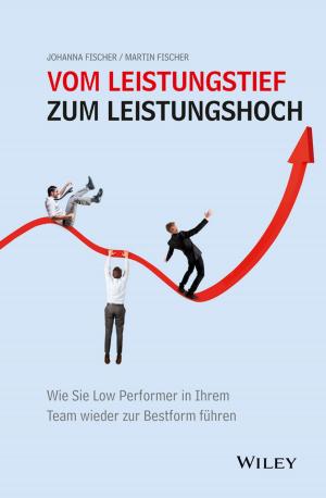 Cover of the book Vom Leistungstief zum Leistungshoch by Daniel Mitchell, Tom Keegan
