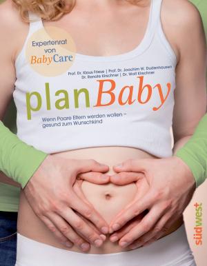 Cover of the book planBaby by Björn Moschinski