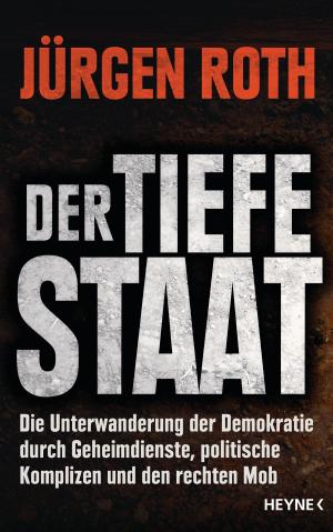 Cover of the book Der tiefe Staat by Anne McCaffrey