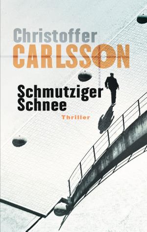 Book cover of Schmutziger Schnee
