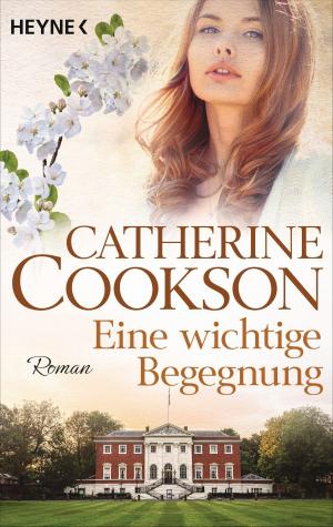 Cover of the book Eine wichtige Begegnung by Patrick Robinson