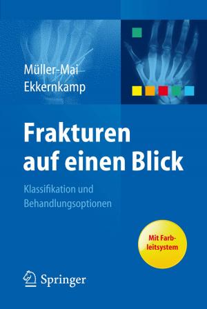 Cover of the book Frakturen auf einen Blick by Norbert Leitgeb