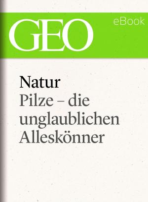 Cover of Natur: Pilze - die unglaublichen Alleskönner