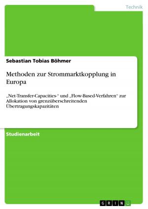 Cover of the book Methoden zur Strommarktkopplung in Europa by Daniel Pagels