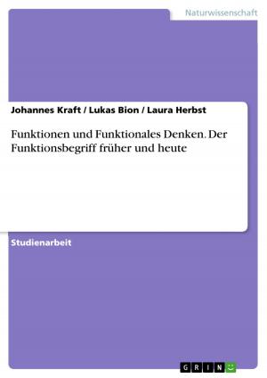 Cover of the book Funktionen und Funktionales Denken. Der Funktionsbegriff früher und heute by Alida Ziehm