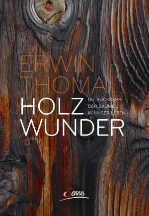 Book cover of Holzwunder