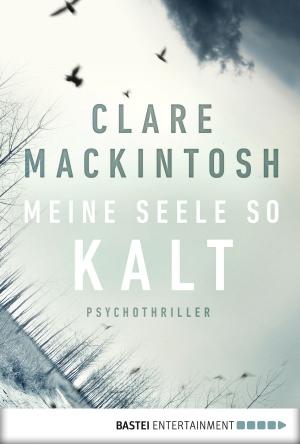 Cover of the book Meine Seele so kalt by Neil Richards, Matthew Costello