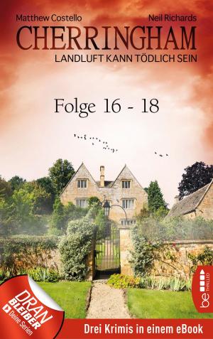 Cover of the book Cherringham Sammelband VI - Folge 16-18 by Barbara Goldstein