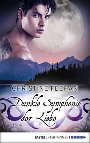 Book cover of Dunkle Symphonie der Liebe