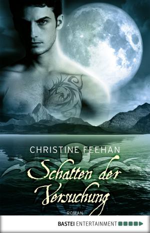 Cover of the book Schatten der Versuchung by Michael J. Parrish